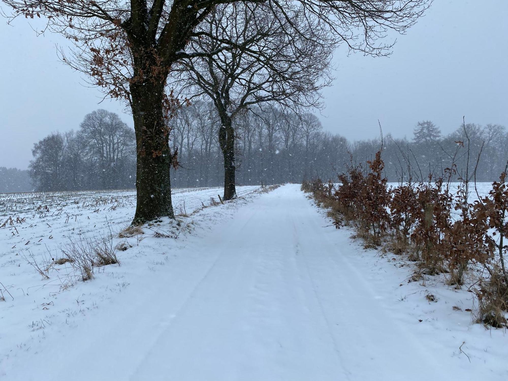 Op D'r Vieleberg Bed & Breakfast Vijlen